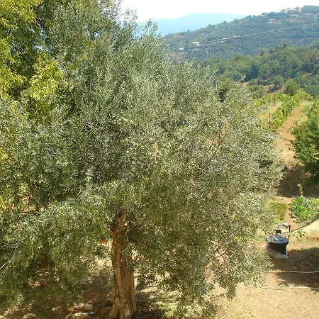 Gli Ulivi Di Serraudo Farm stay San Giorgio Albanese